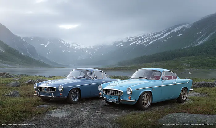 Volvo P1800 coupé et 1800ES shooting brake côte à côte dans paysage scandinave
